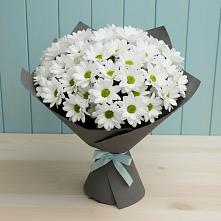 Букет цветов из:  Хризантемы #REPLACE_PRED# Тарасово
